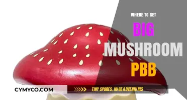 Exploring the Best Spots for Big Mushroom PBB: A Comprehensive Guide