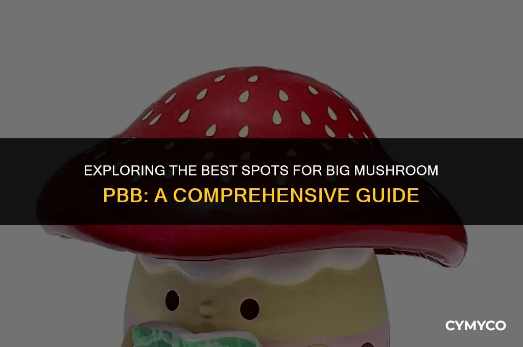 where to get big mushroom pbb
