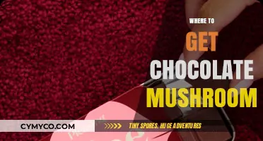 Discover the Best Spots to Find Chocolate Mushrooms Near You