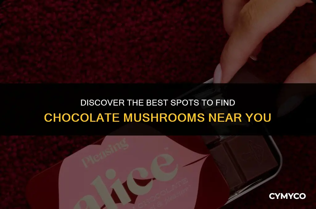 where to get chocolate mushrooms