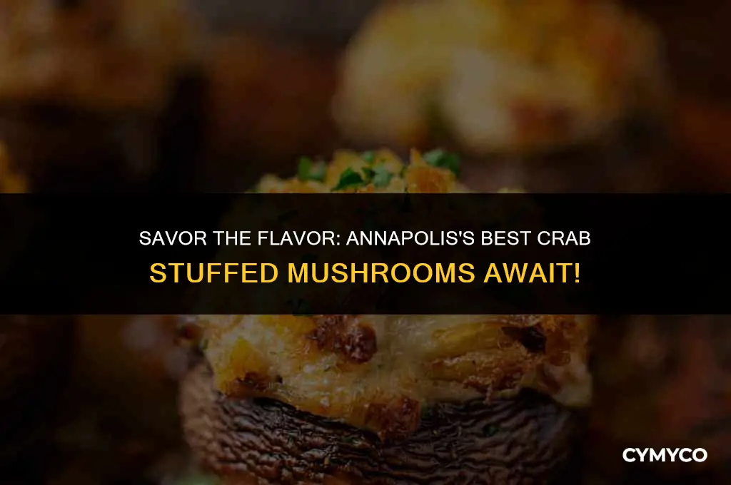 where to get crab stuffed mushrooms in annapolis