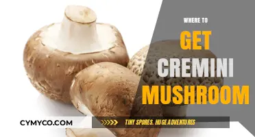 Exploring Local Markets and Beyond: Your Guide to Finding Cremini Mushrooms