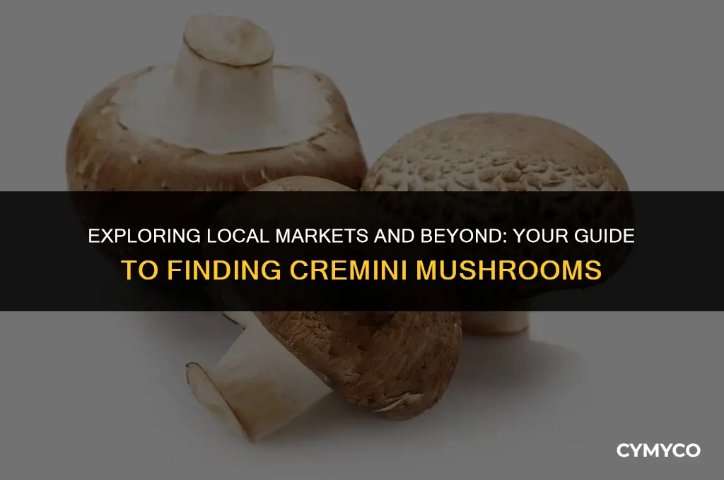 where to get cremini mushrooms