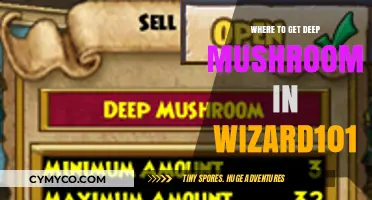 Exploring Wizard101: Your Guide to Finding Deep Mushrooms
