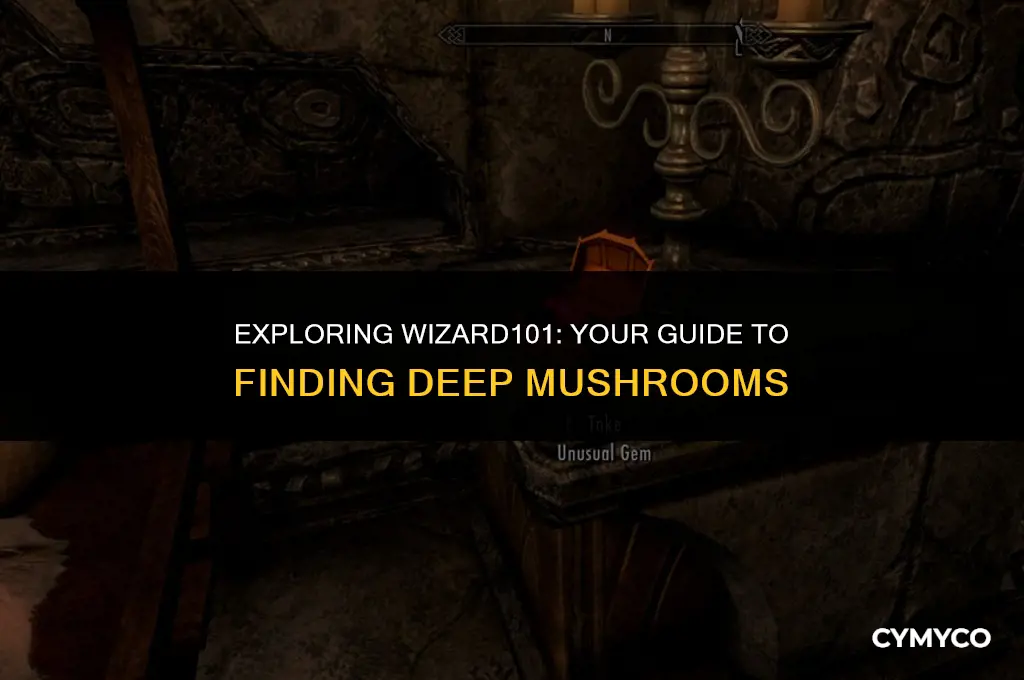 where to get deep mushroom in wizard101
