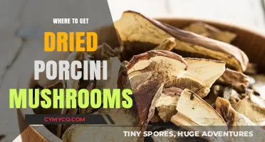 Savor the Flavor: Your Guide to Finding Dried Porcini Mushrooms
