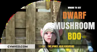 Exploring BDO: Your Guide to Finding Dwarf Mushrooms