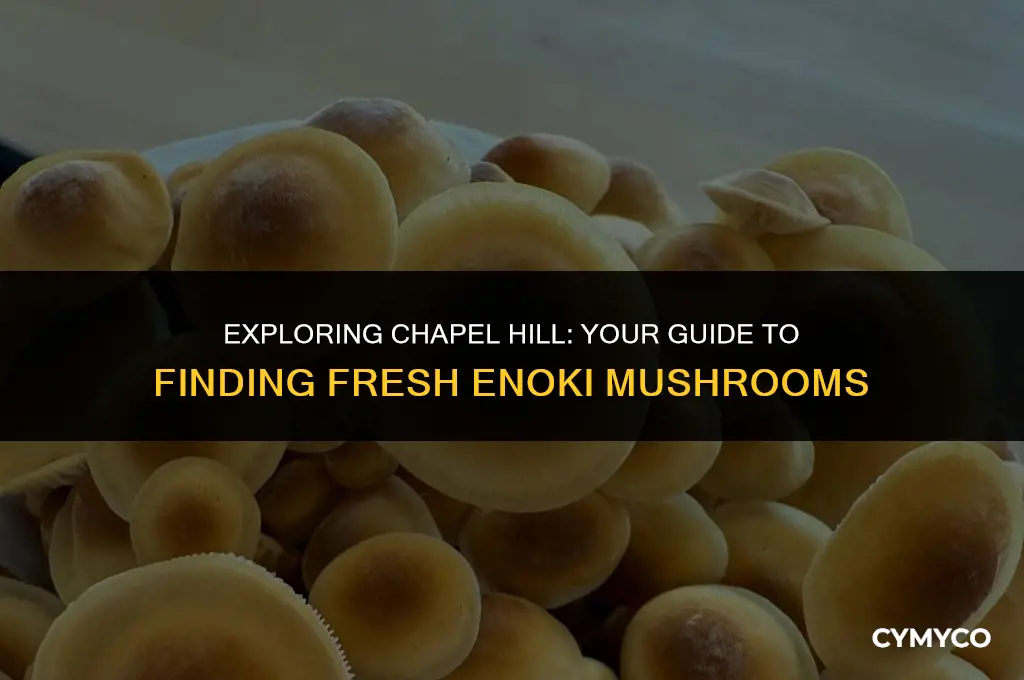 where to get enoki mushrooms in chapel hill
