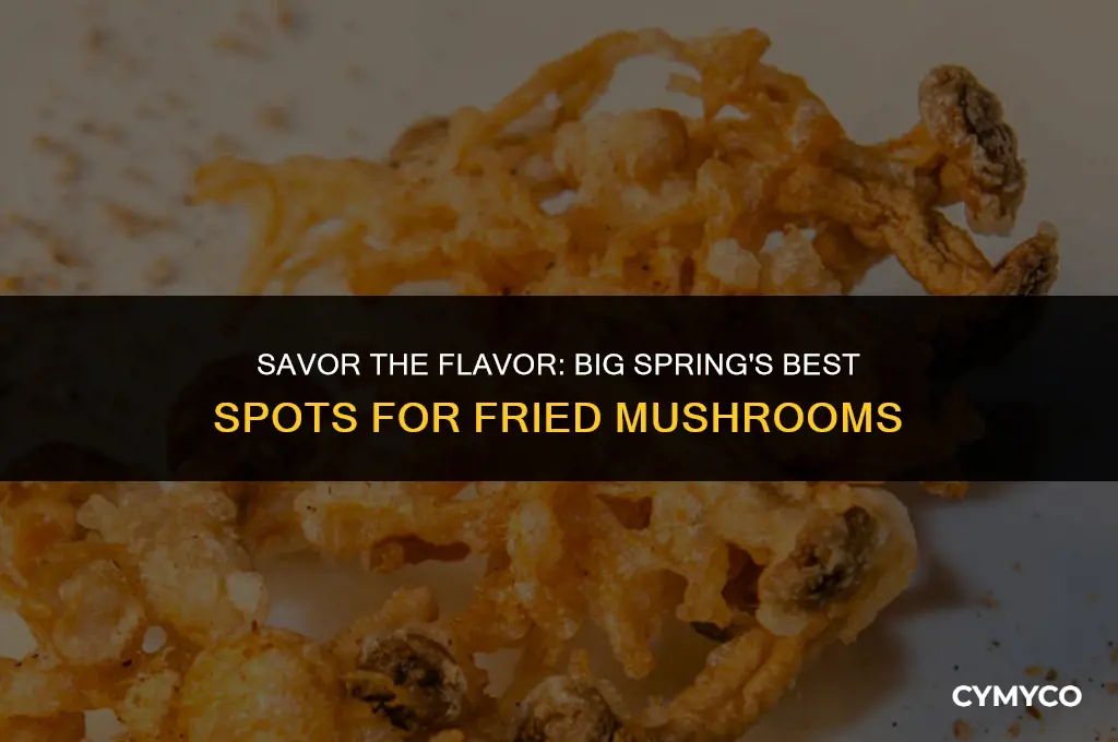 where to get fried mushrooms in big spring tx
