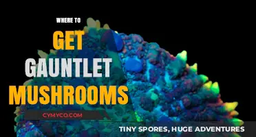Exploring the Best Spots to Find Gauntlet Mushrooms