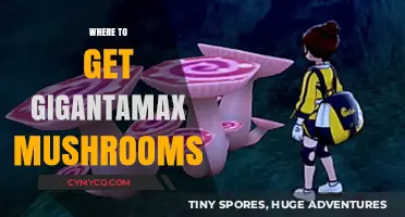Where to Find Gigantamax Mushrooms: A Comprehensive Guide