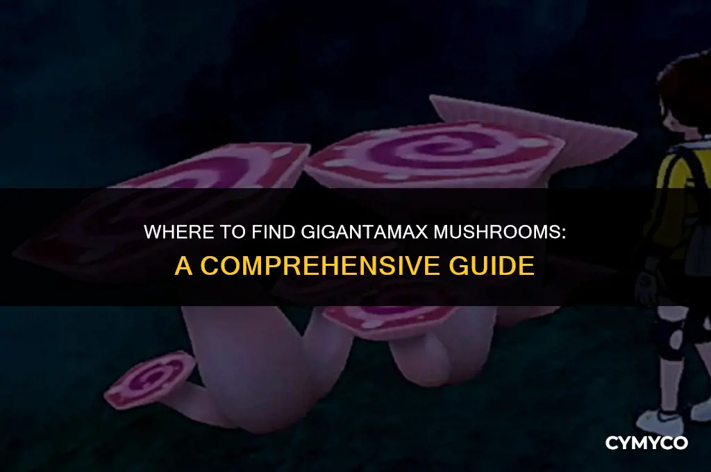 where to get gigantamax mushrooms
