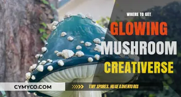 Discover the Best Sources for Glowing Mushroom Creativerse