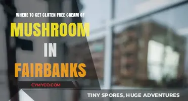 Discovering Gluten-Free Cream of Mushroom Options in Fairbanks