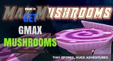 Exploring Nature's Bounty: Where to Find Gmax Mushrooms