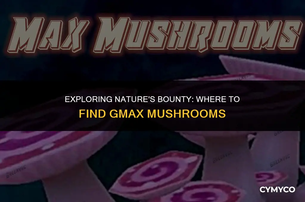 where to get gmax mushrooms