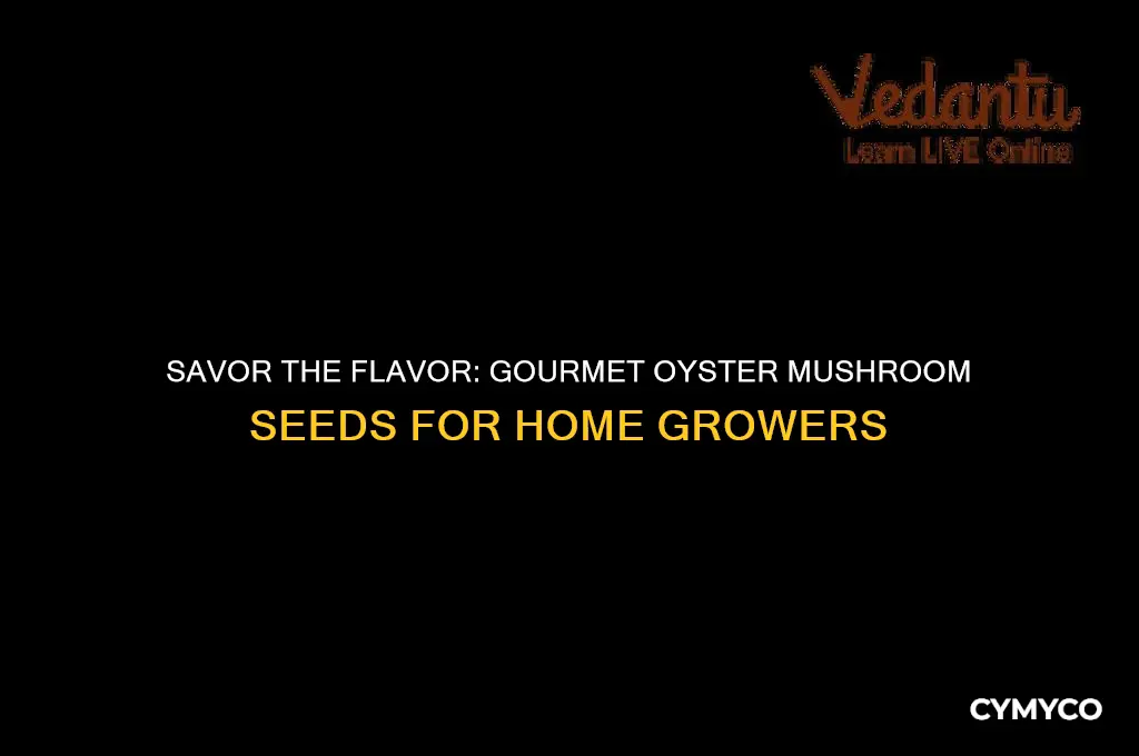 where to get gourmet oyster mushroom seed