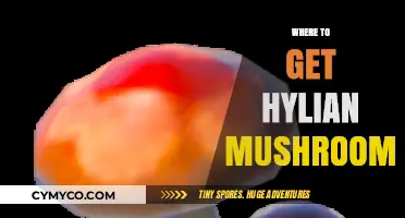 Discover the Best Spots to Find Hylian Mushrooms: A Comprehensive Guide