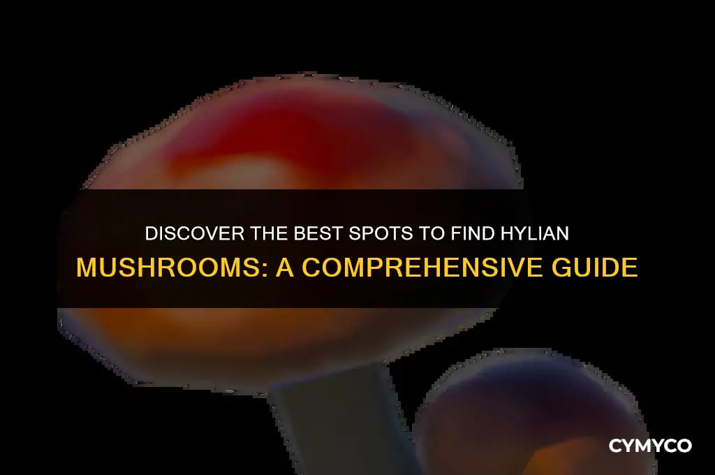 where to get hylian mushrooms