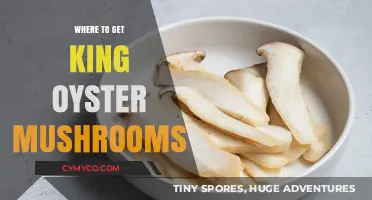 Discover the Best Sources for King Oyster Mushrooms: A Comprehensive Guide