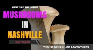 Nashville's Best Spots for King Trumpet Mushrooms: A Local's Guide