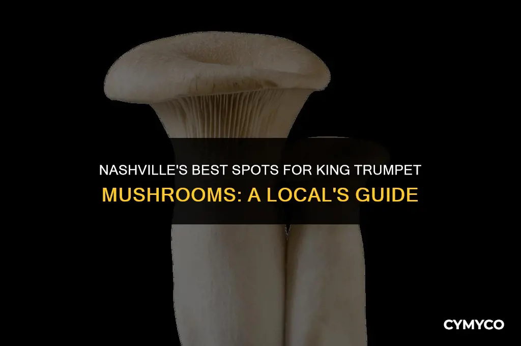 where to get king trumpet mushrooms in nashville