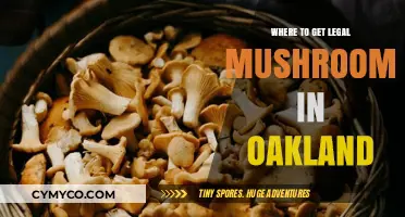 Exploring Oakland's Legal Mushroom Scene: A Comprehensive Guide