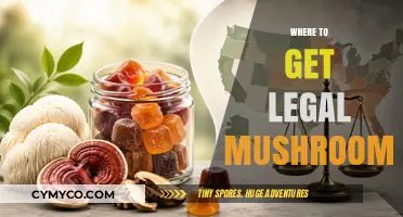 Exploring Legal Mushroom Sources: A Comprehensive Guide