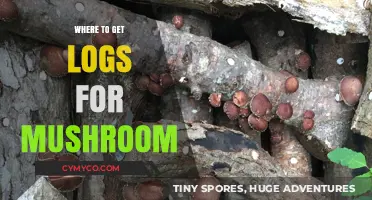 Exploring Nature's Bounty: Where to Find Logs for Mushroom Cultivation