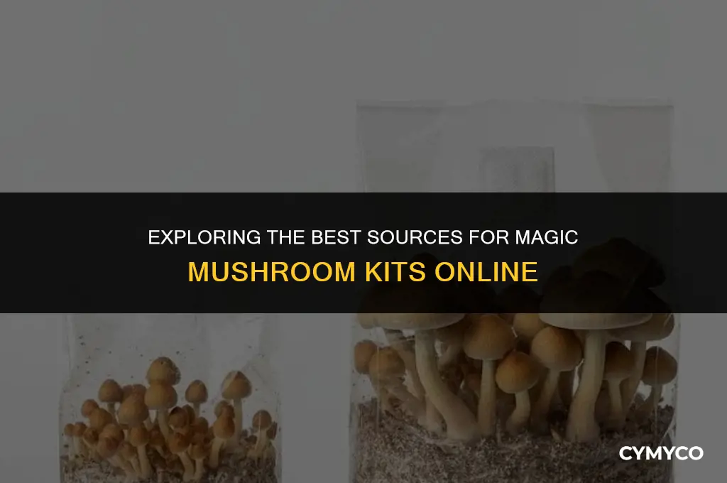 where to get magic mushroom kit