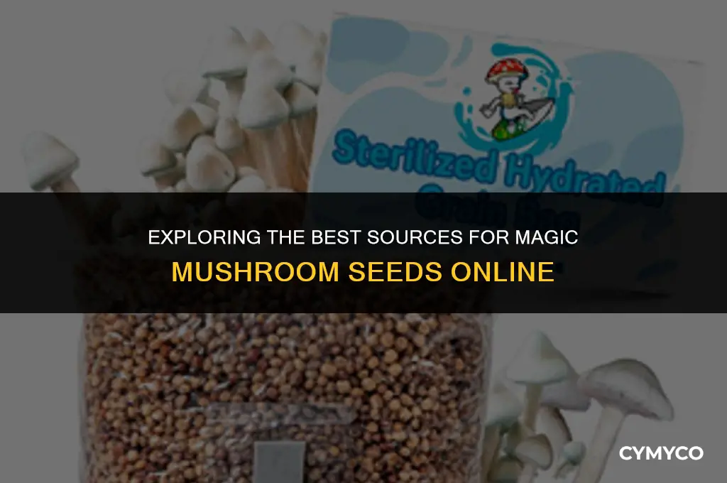 where to get magic mushroom seeds