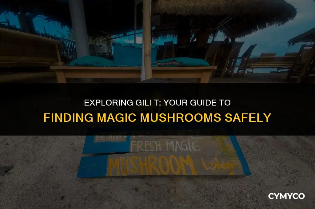 where to get magic mushrooms gili t
