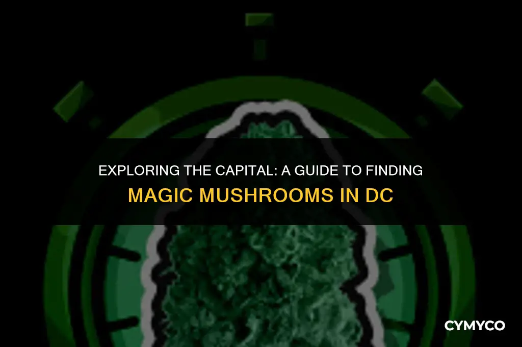 where to get magic mushrooms in dc