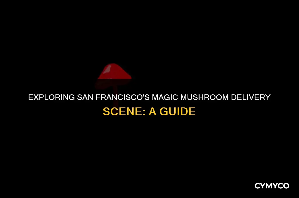 where to get magic mushrooms san francisco delivery
