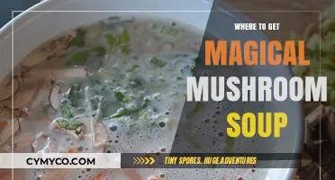 Enchanted Eats: A Guide to Finding Magical Mushroom Soup