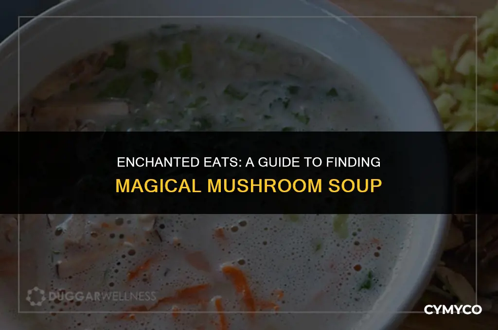 where to get magical mushroom soup