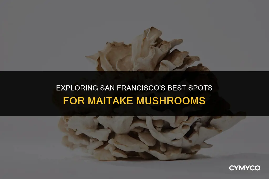 where to get maitake mushrooms san francisco