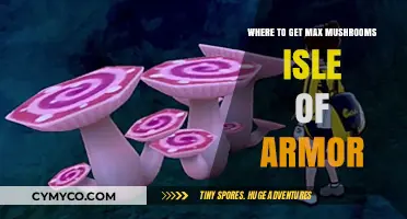 Isle of Armor's Hidden Treasures: Unveiling Max Mushroom Locations