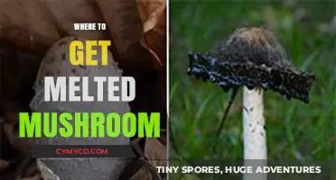 Discover the Best Spots for Melty, Flavorful Mushrooms