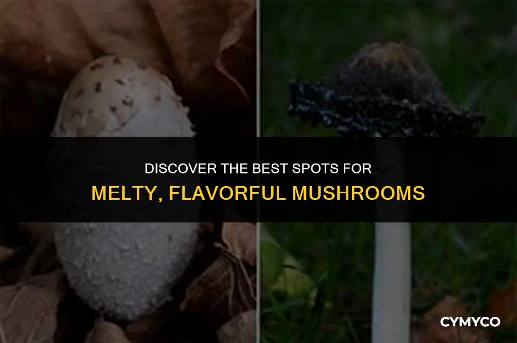where to get melted mushroom