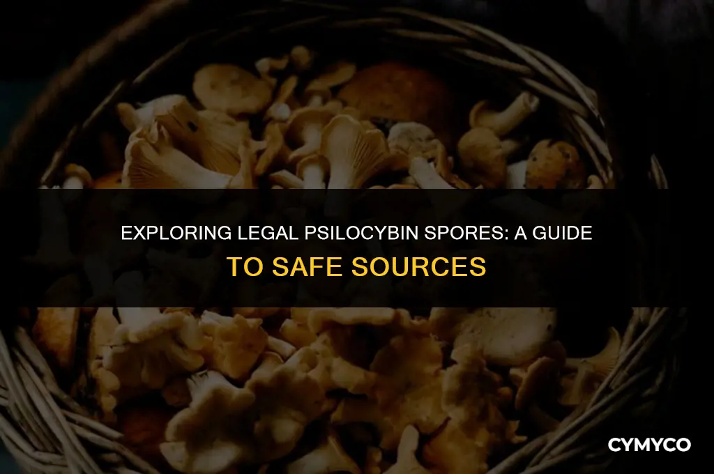 where to get psilocybin spores