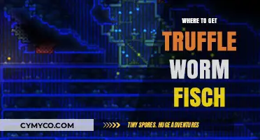 Truffle Worm Fish: A Culinary Quest for the Elusive Delicacy