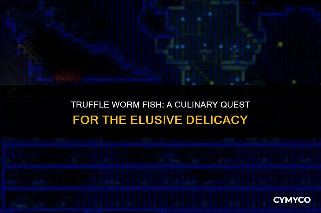 where to get truffle worm fisch