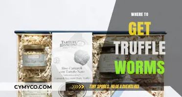 Unearthing Gourmet Delights: A Guide to Sourcing Truffle Worms