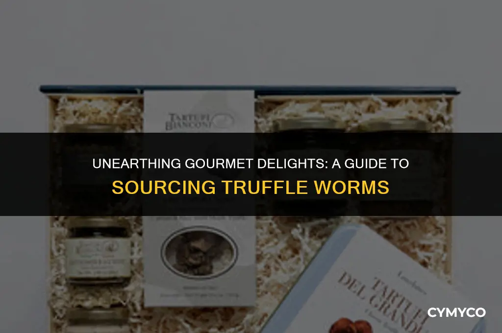 where to get truffle worms