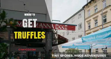 Truffle Treasures: A Guide to Finding the Best Truffles Near You