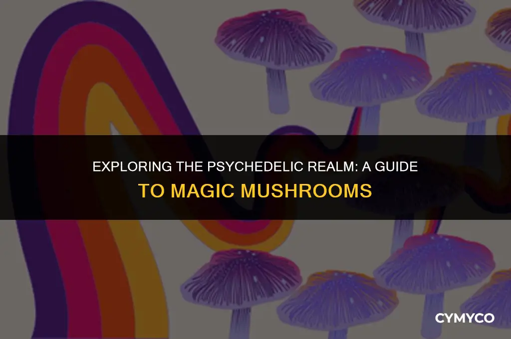 where to magic mushrooms psychedelic