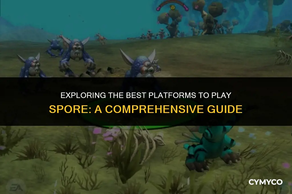 where to play spore