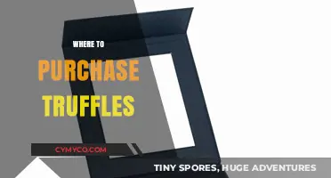 Truffle Treasures: Your Ultimate Guide to Purchasing the Finest Fungi