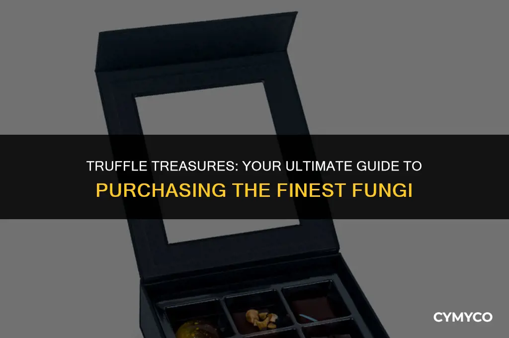where to purchase truffles